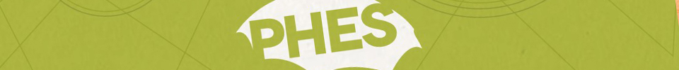 Banner Phes Annual Report 2019