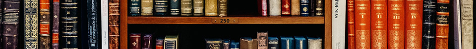 Aulp Banner